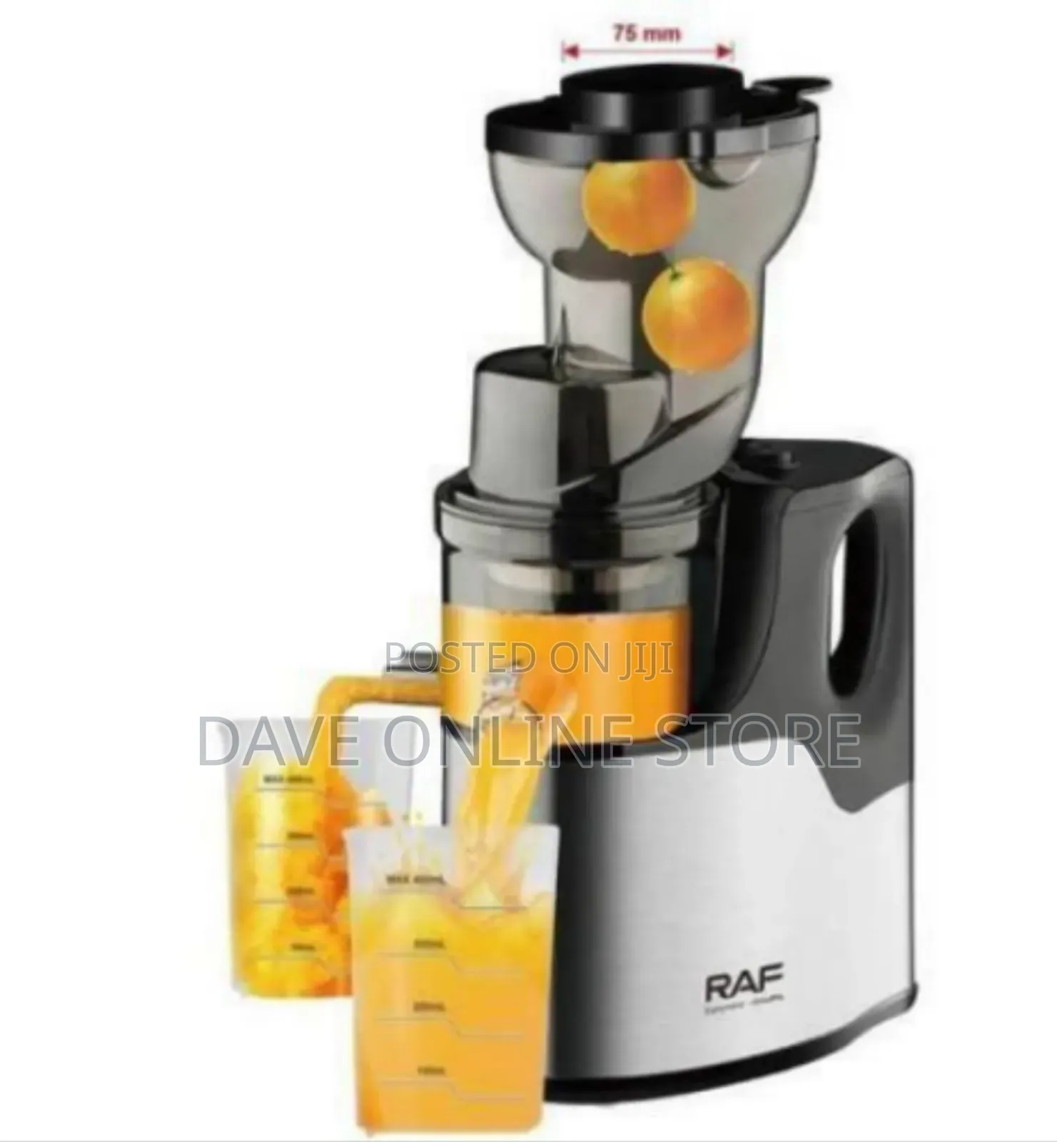 Raf Raf R.2857 Slow Juicer (1000ml)