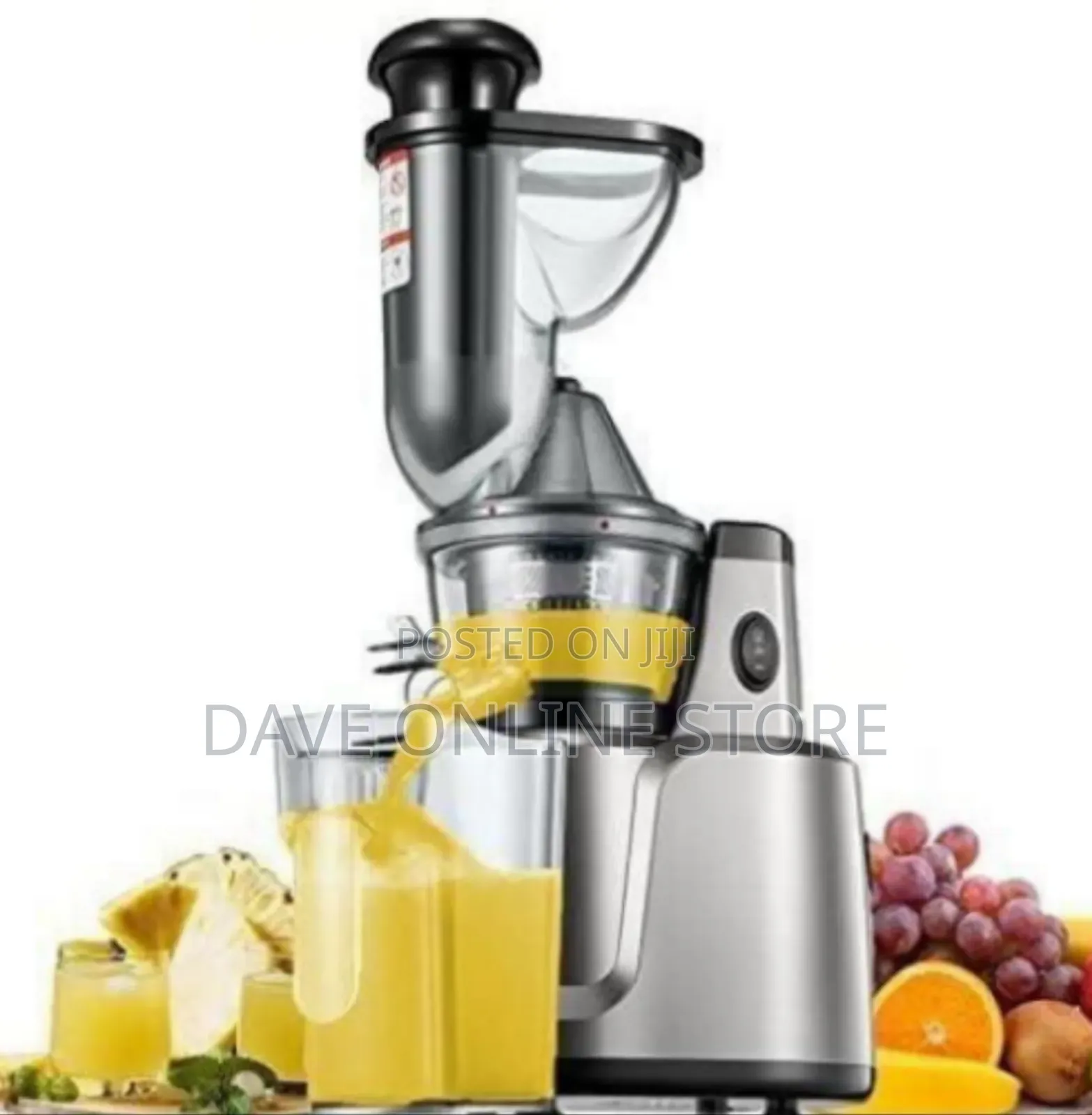Hoffmans Professional Slow Masticating Juicer and Nutrient .