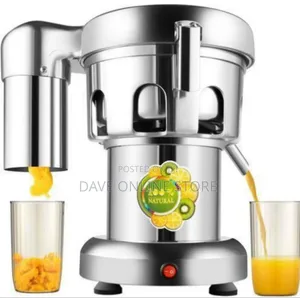 Professional Commercial Grade Stainless Steel Juice Extractor