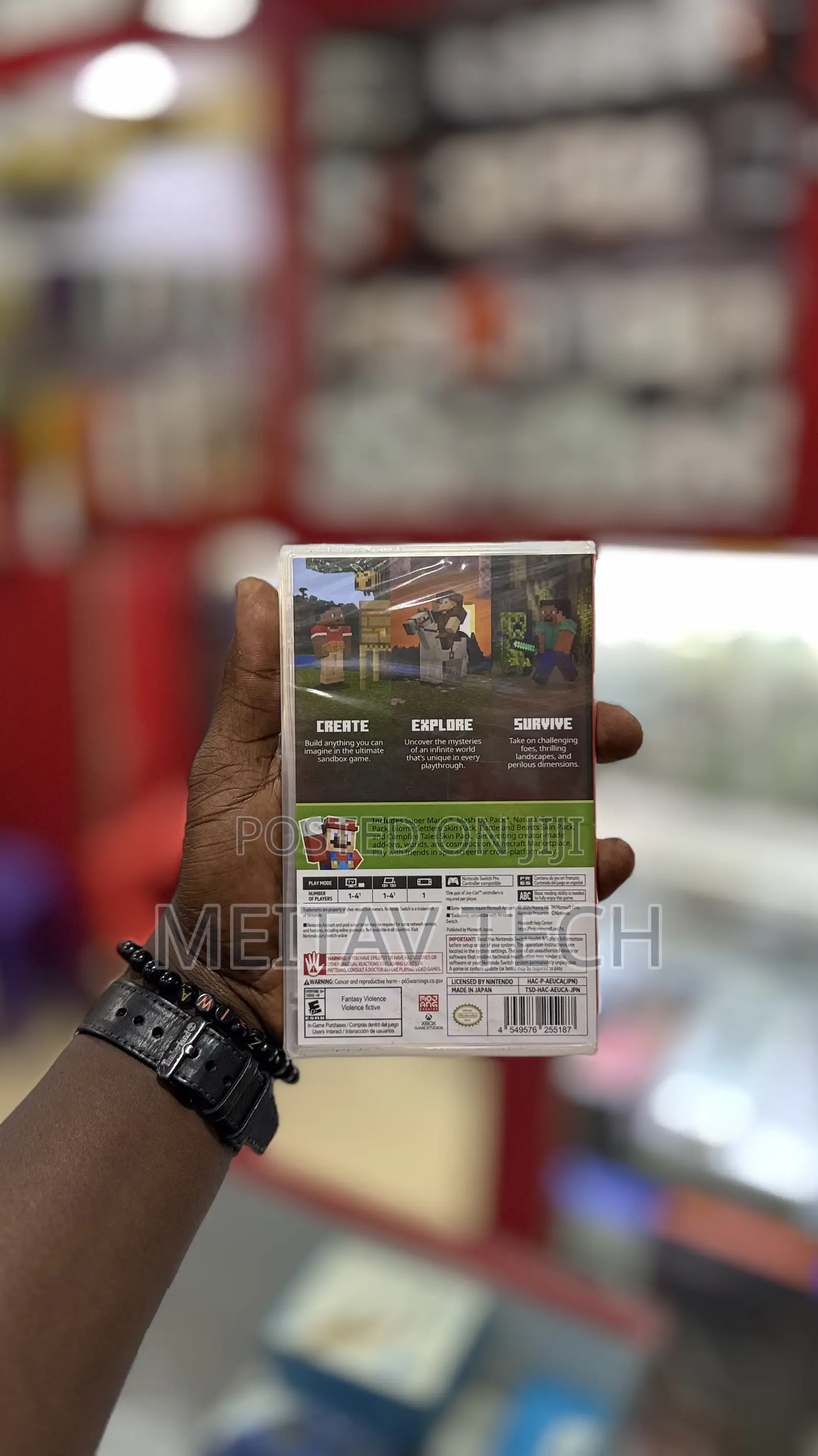 Minecraft Nintendo Switch
