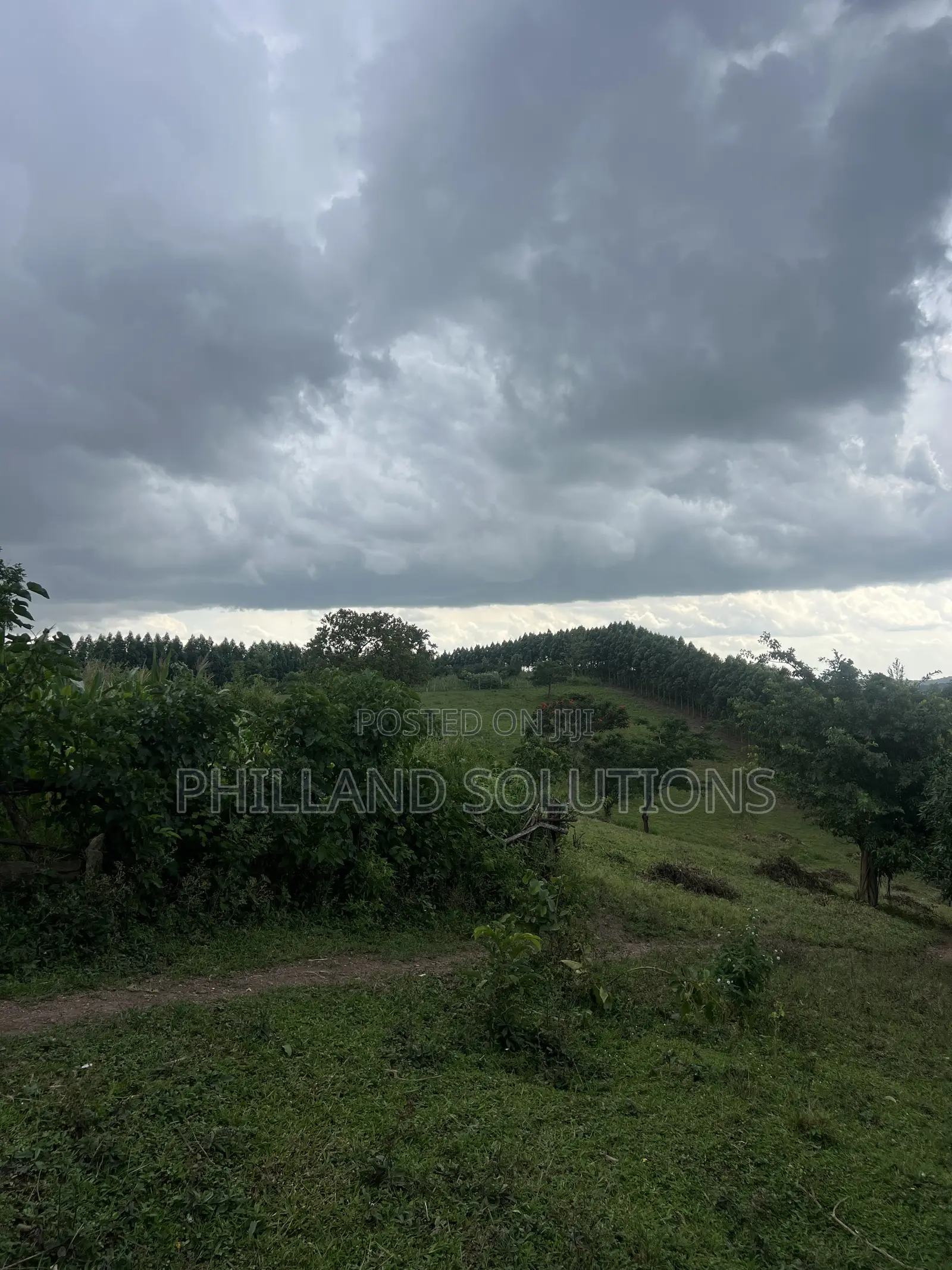 Farmland for Sale 70 Hectares of Land