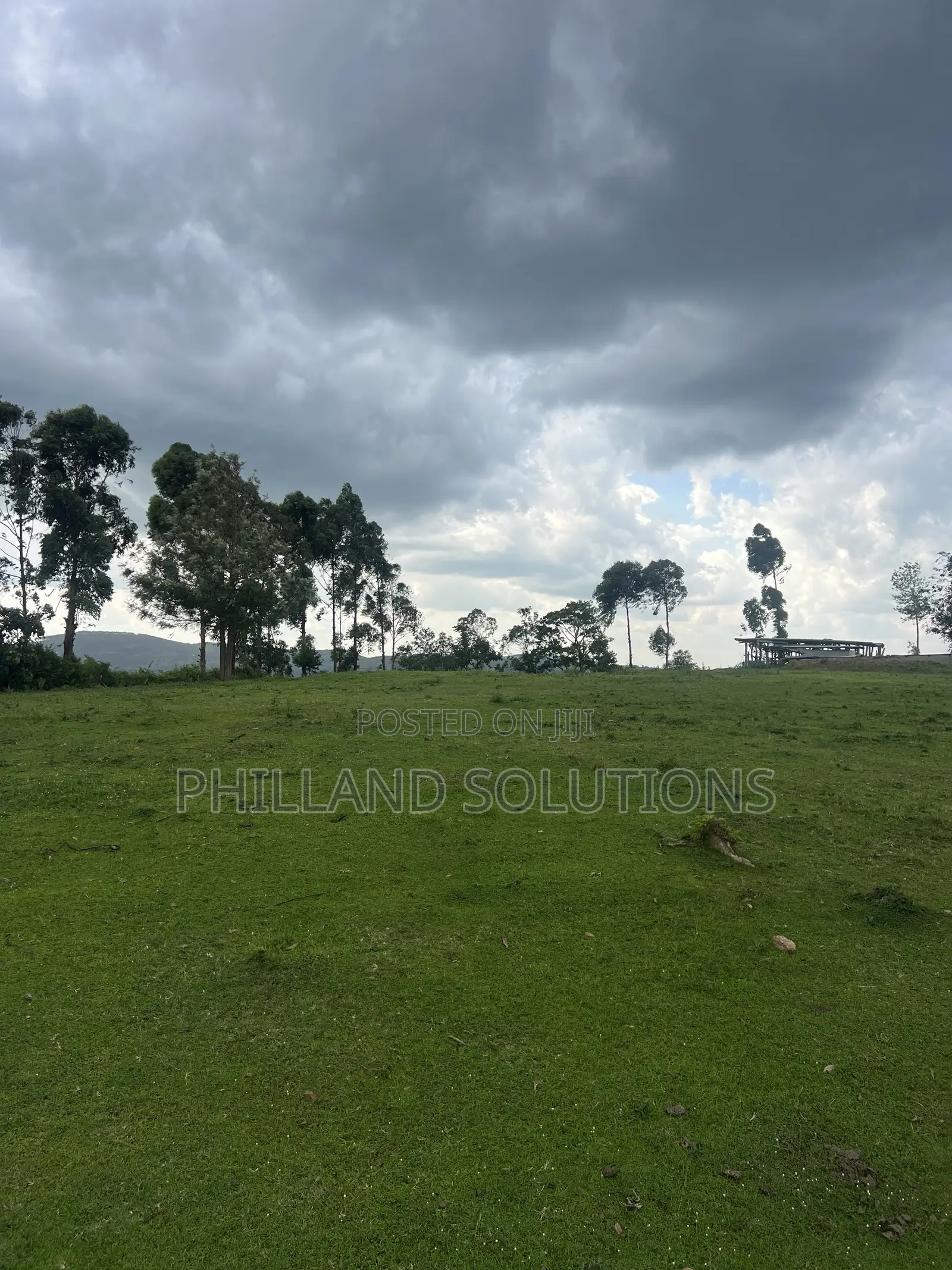 Farmland for Sale 70 Hectares of Land