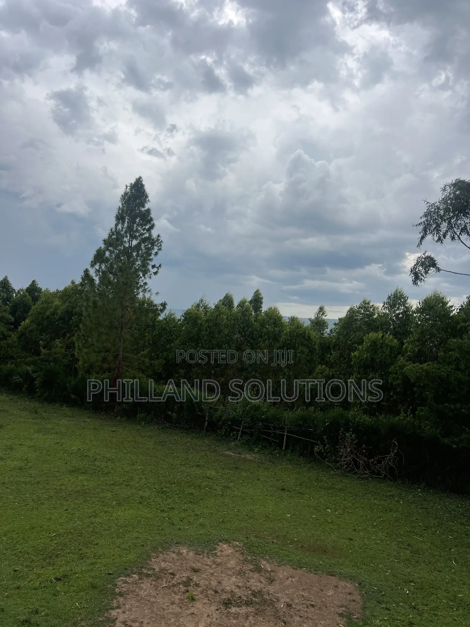 Farmland for Sale 70 Hectares of Land