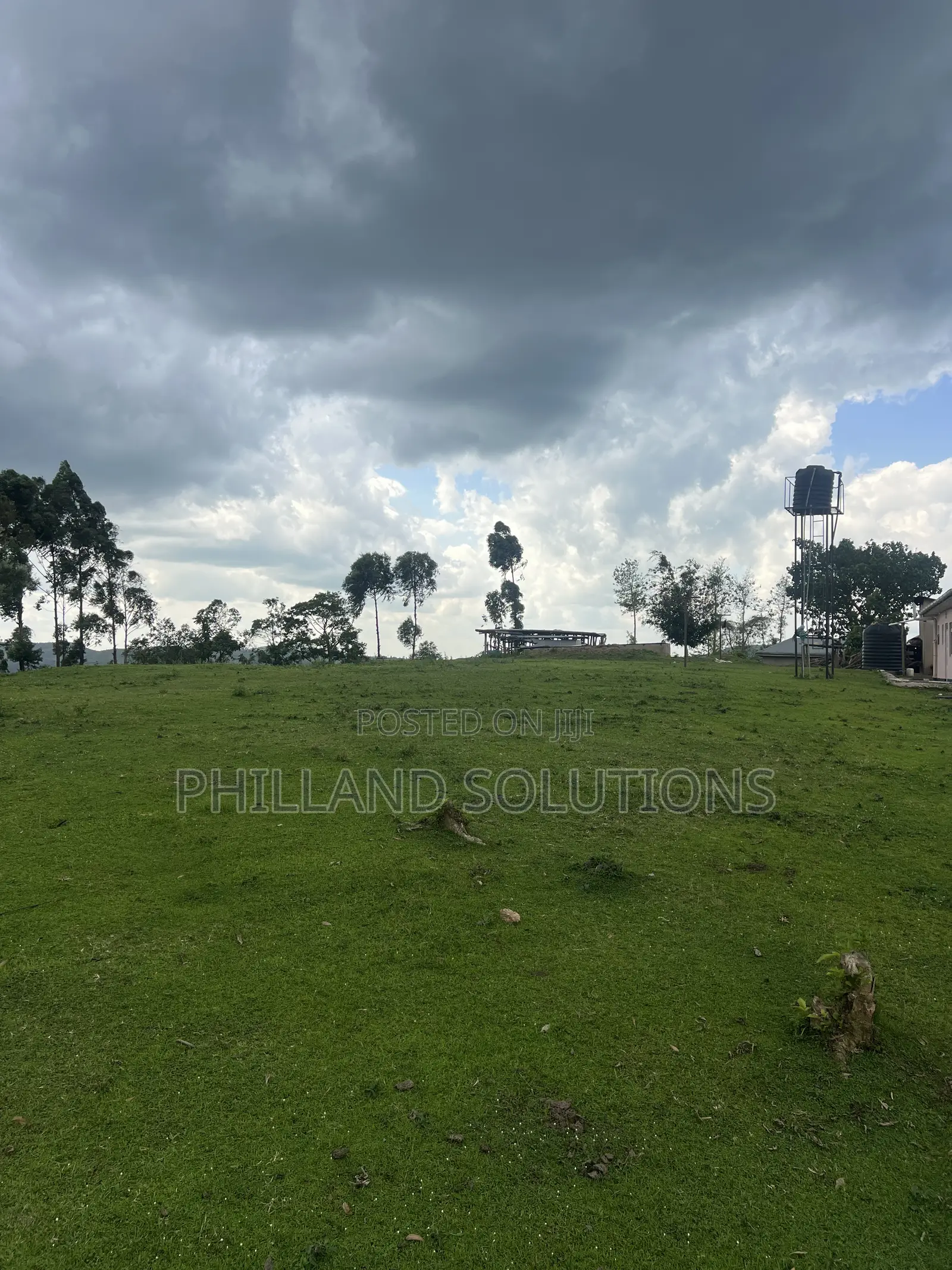 Farmland for Sale 70 Hectares of Land