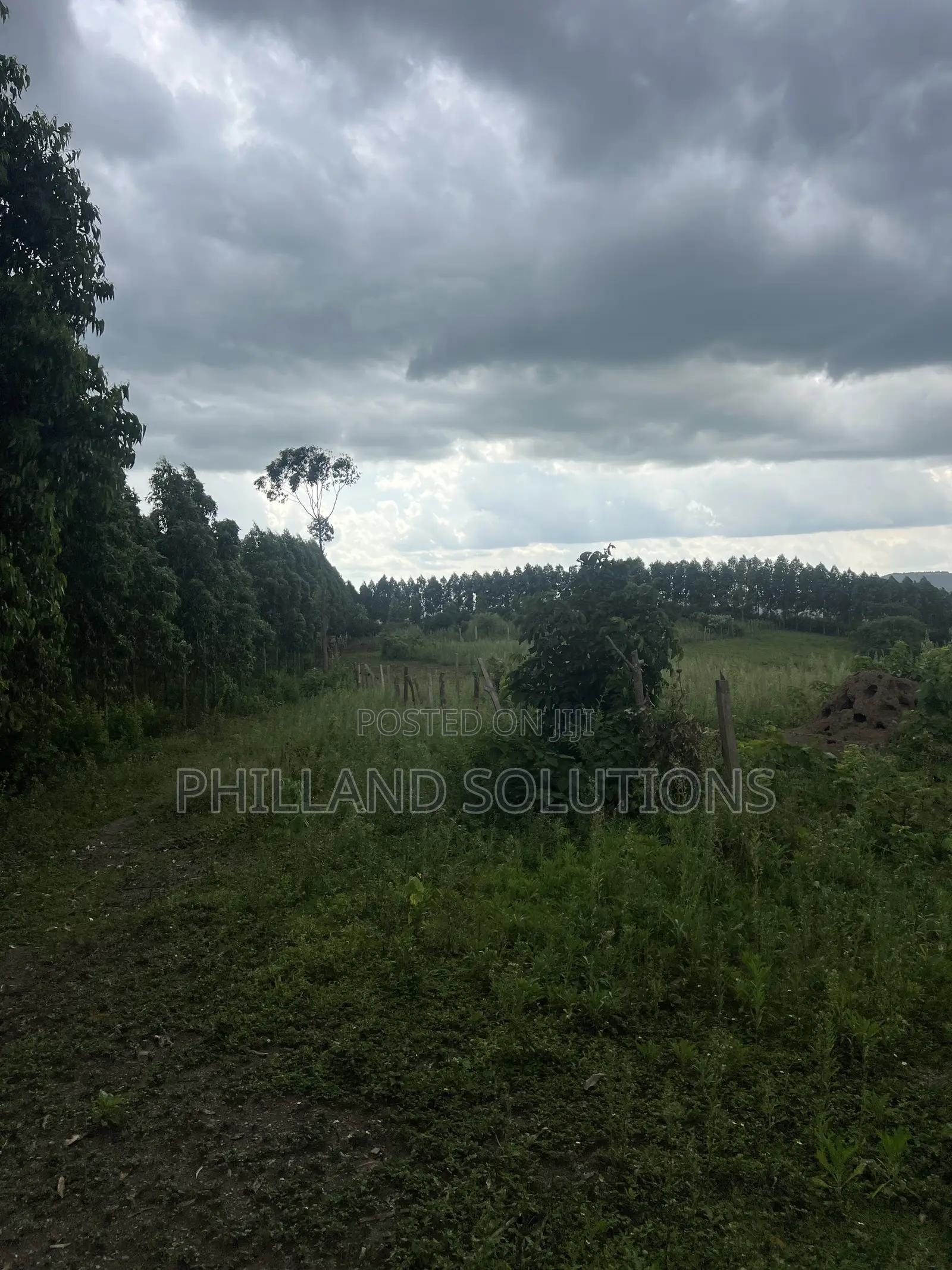 Farmland for Sale 70 Hectares of Land