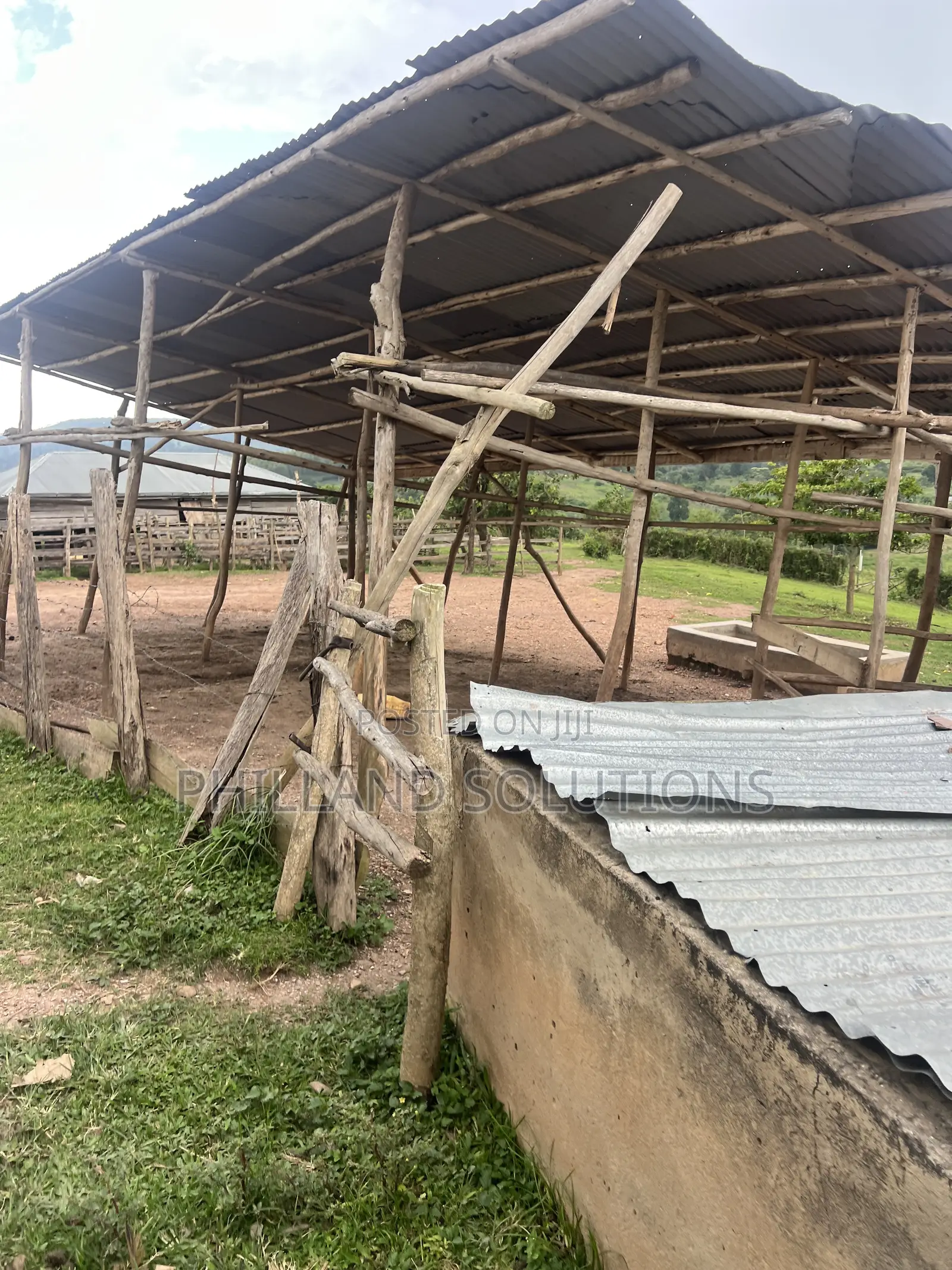 Farmland for Sale 70 Hectares of Land