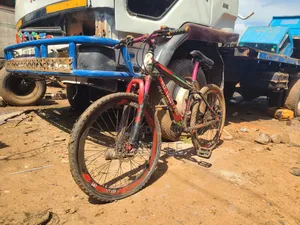 Bicycle for Sale