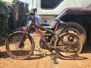 Bicycle for Sale