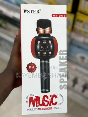 Wster Ws-2911 Wireless Karaoke Microphone Bluetooth Speaker
