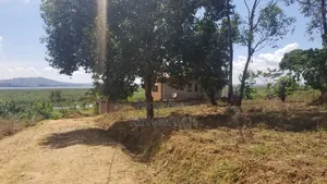 Half Acer for Sale in Bweya Kajjansi