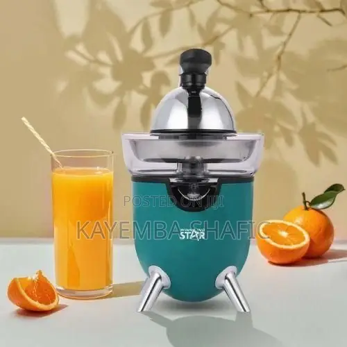 Winning Star St-5417 Electric Citrus Juicer Machine - Brand New