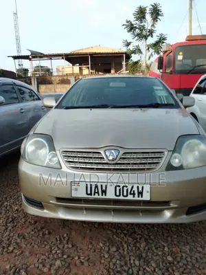 Toyota Allex 2006 Gold