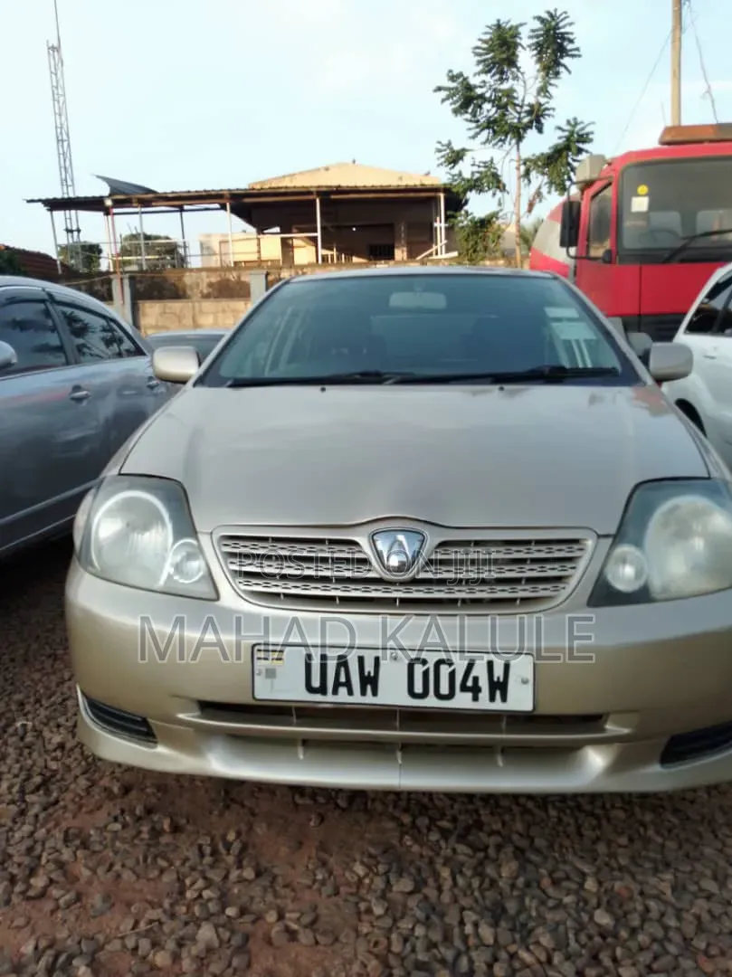 Toyota Allex 2006 Gold