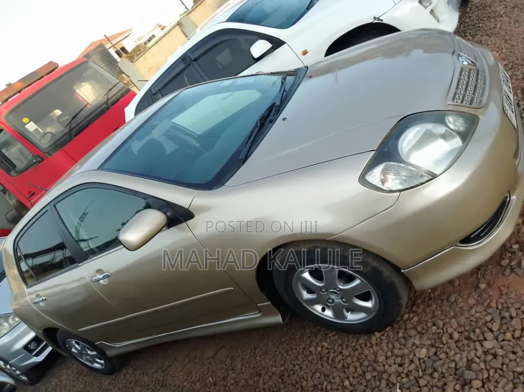 Toyota Allex 2006 Gold