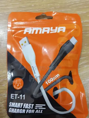 Amaya Fast Charging C Type Charger