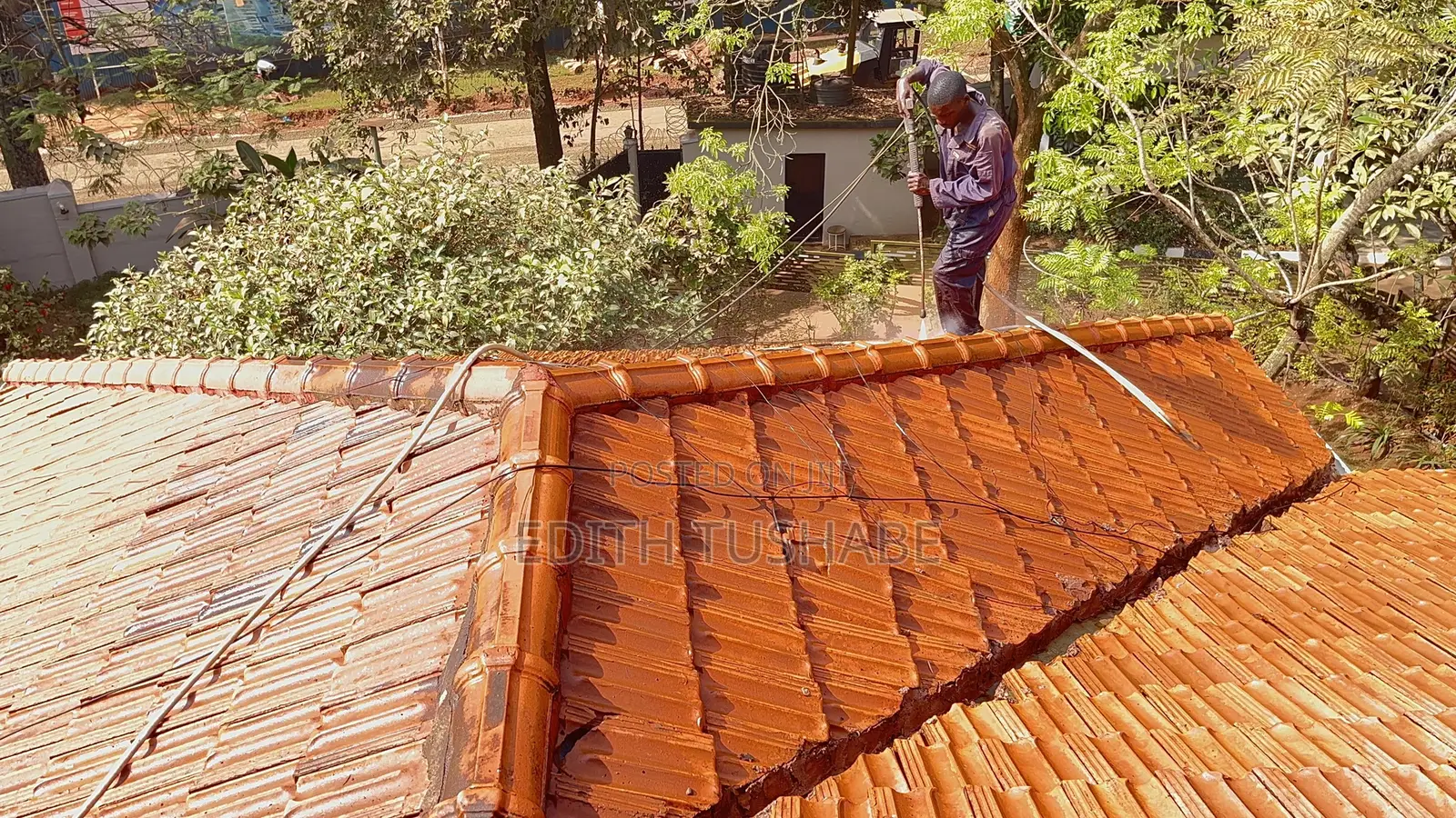 Roof Cleaning