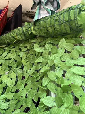 Ceiling Stretching Plants Each Piece 3 Meters