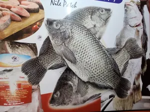 Fish Fingers