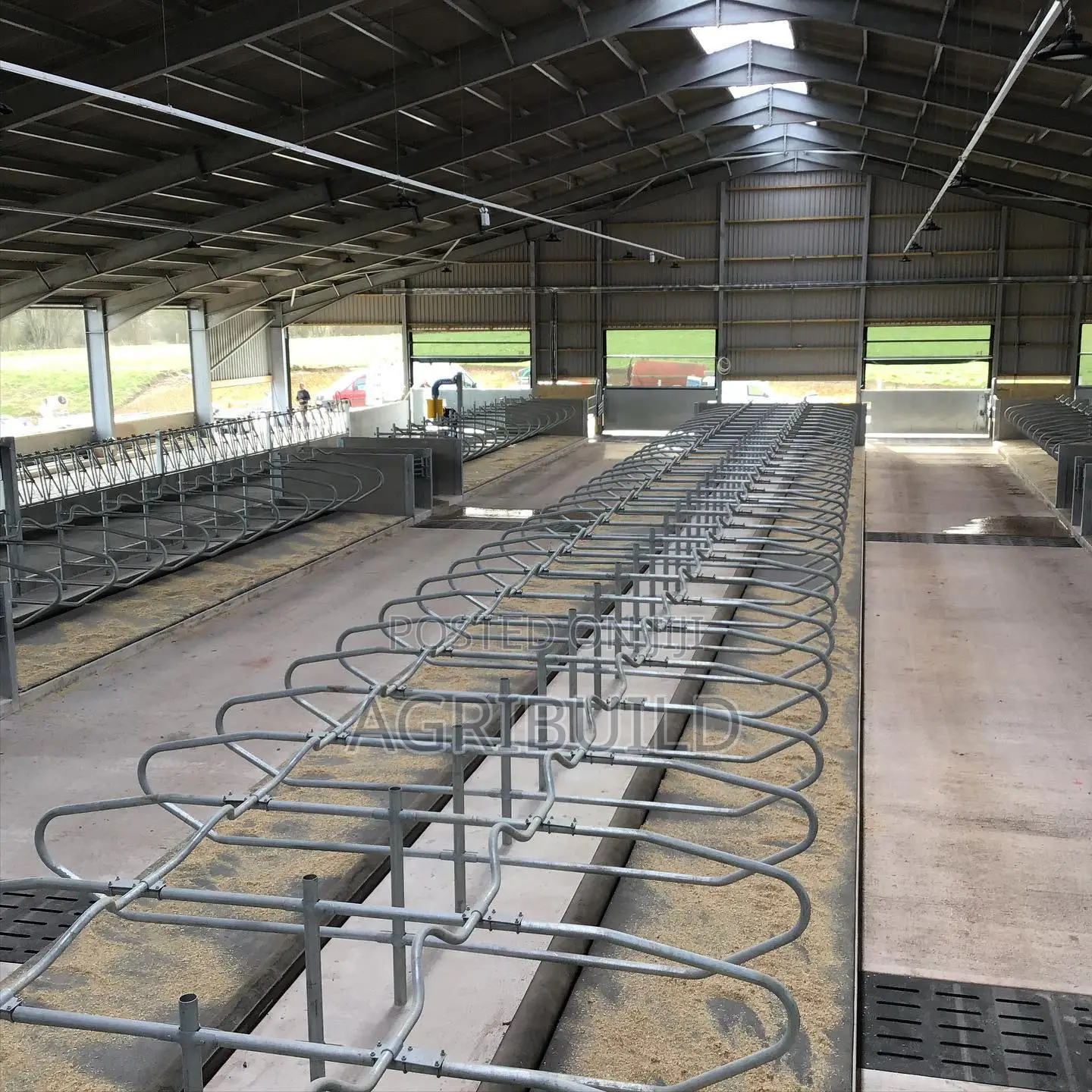 Dairy Farm Steel Frame Building Construction