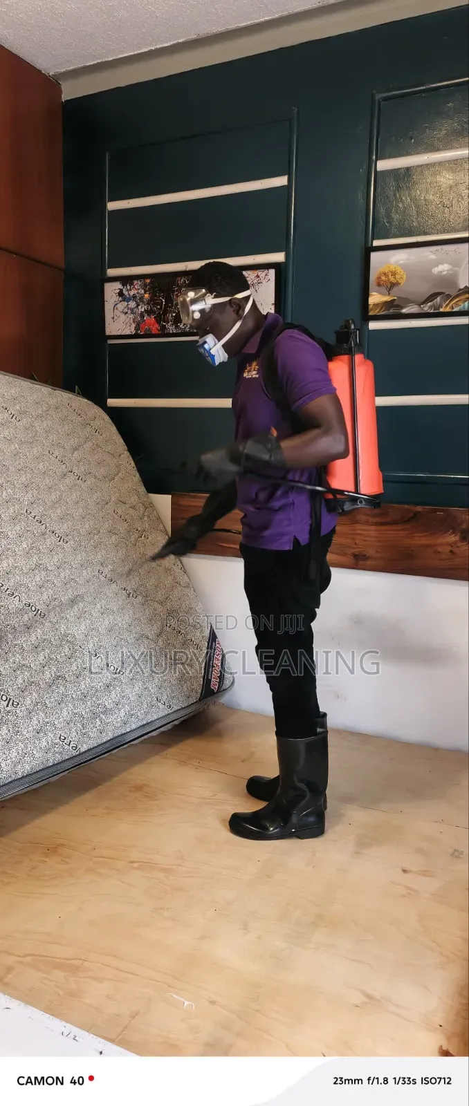 Bed Bugs Thorough Fumigation