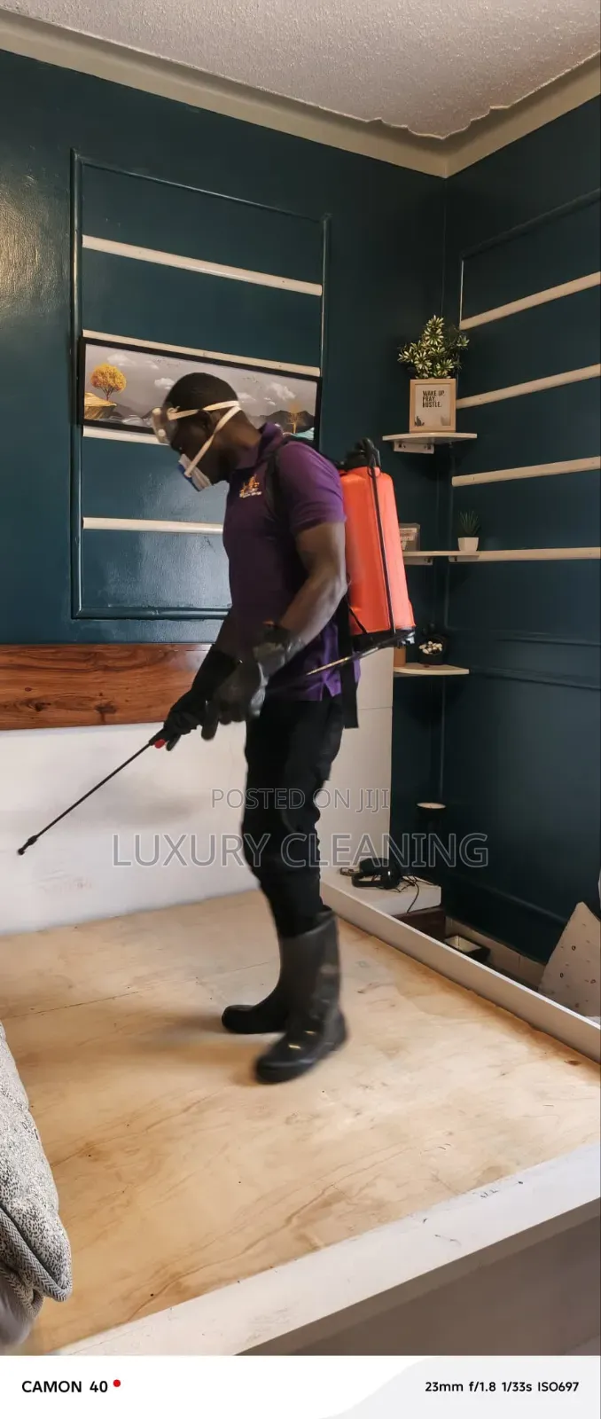 Bed Bugs Thorough Fumigation
