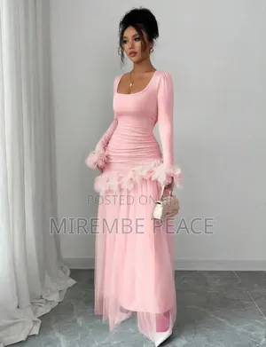 Decent Ladies Long Sleeve Dresses