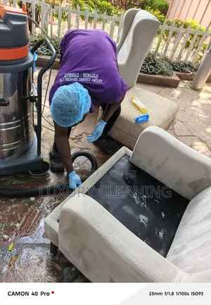 Sofa Sets Cleaning