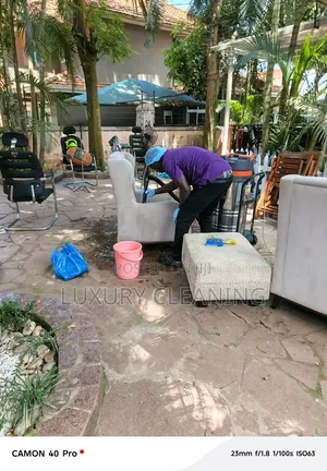 Sofa Sets and Couches Cleaning