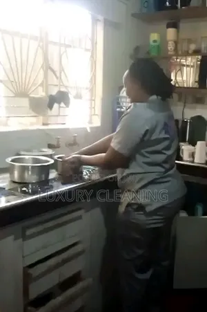Emergency House Detailed Cleaning