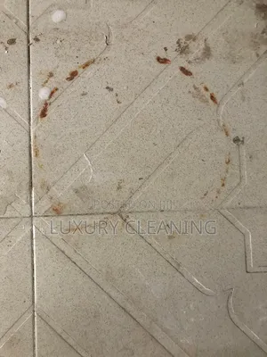 Post Renovations Cleaning