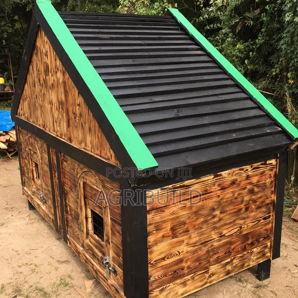 Modern Dog Kennel Construction Services