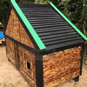 Modern Dog Kennel Construction Services