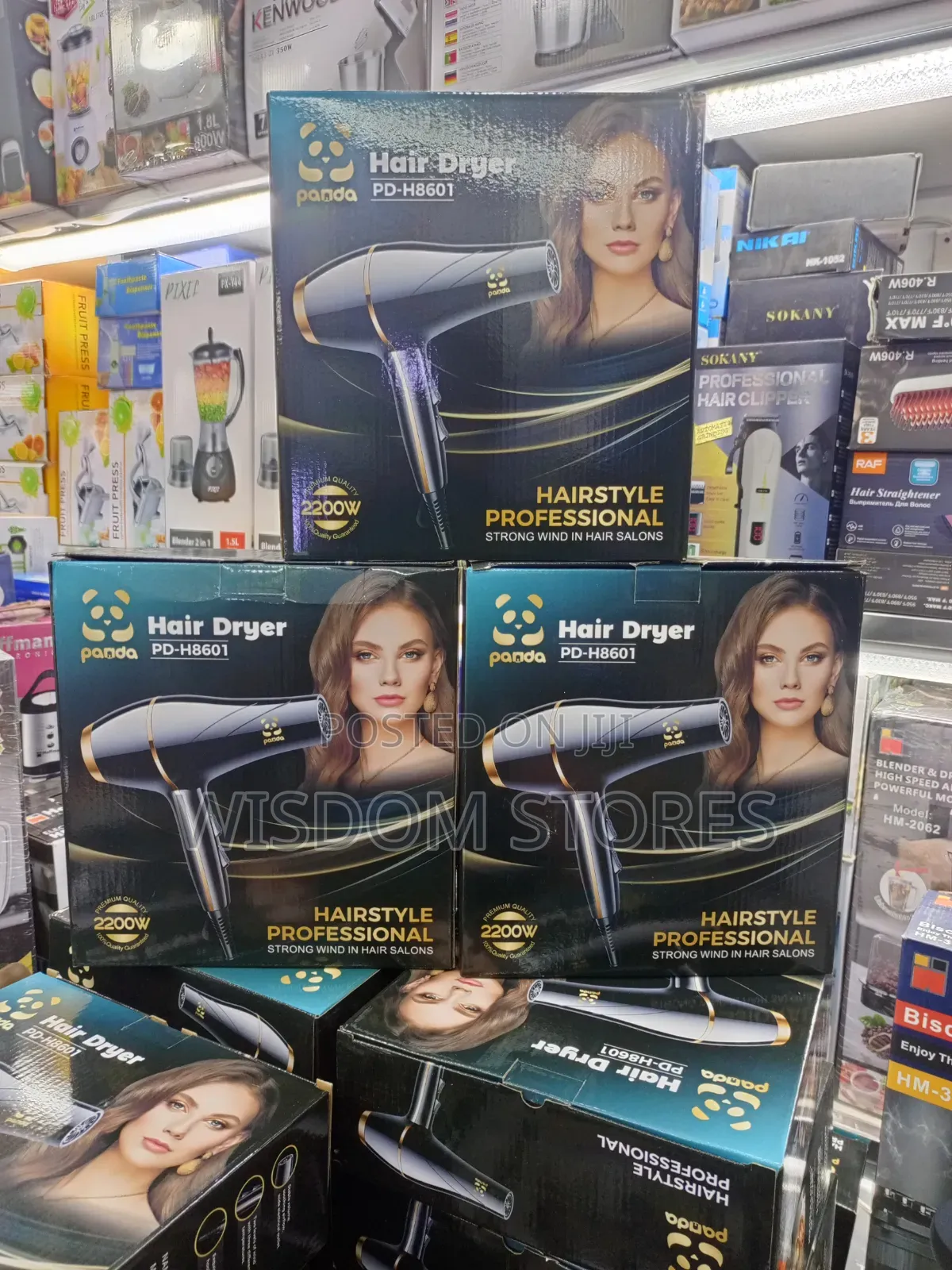 Panda Pd-H8601 Hair Dryer.