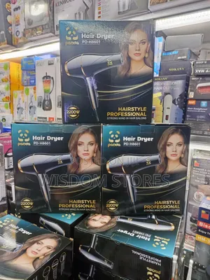 Panda Pd-H8601 Hair Dryer.