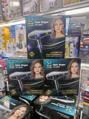 Panda Pd-H8601 Hair Dryer.