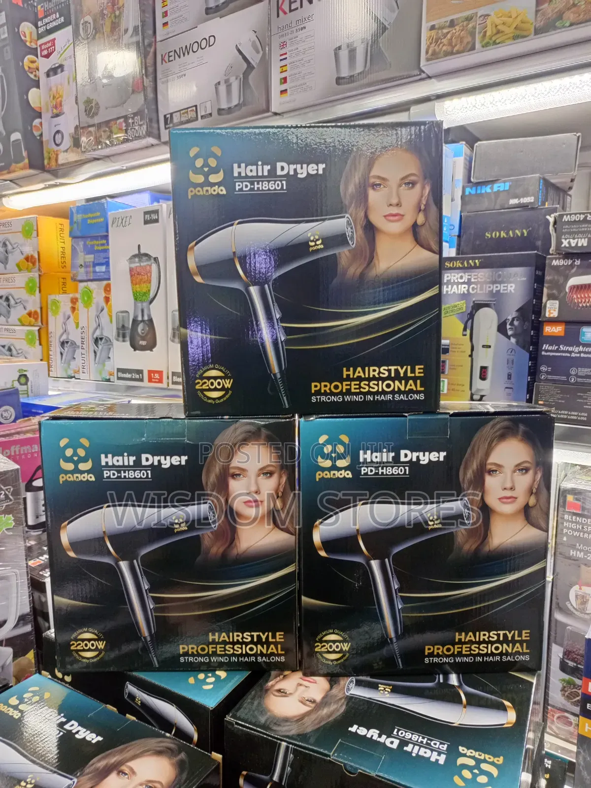 Panda Pd-H8601 Hair Dryer.