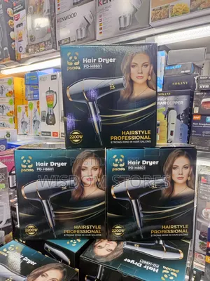Panda Pd-H8601 Hair Dryer.