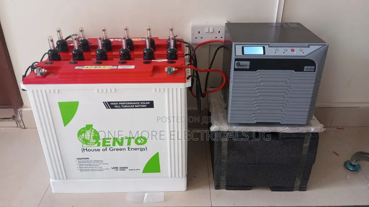 Heavy Backup System24/ 200ah*2 and 2500va Inverter Charger