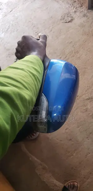 Filder 2013/2017 Hybrid Side Mirror
