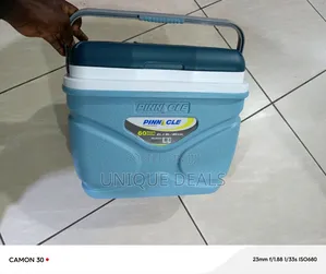 Pinnacle 20l Ice Cooler Chiller Box