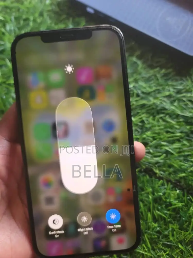 Apple iPhone 12 Pro Max 256 GB Blue