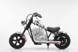 Mini Rider Electric Biker