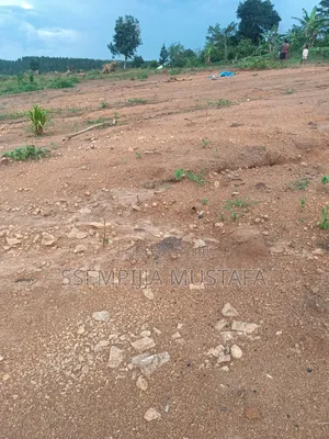 Plots/Land for Sale
