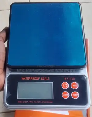 Portable Weigh Digital Weigh Scale Electronic Kitchen Weighing Scale