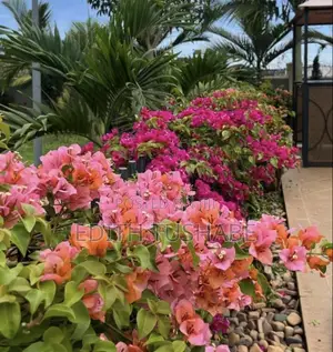 Compound Designing Flowers/Gardening