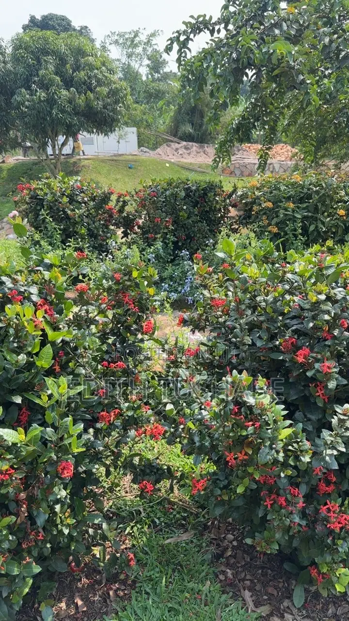 Compound Designing Flowers/Gardening