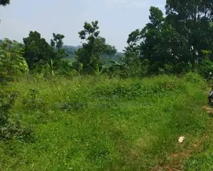 14 Acres of Land Available for Sale in Kasayi, Mukono