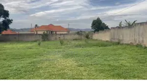 Titled Land
