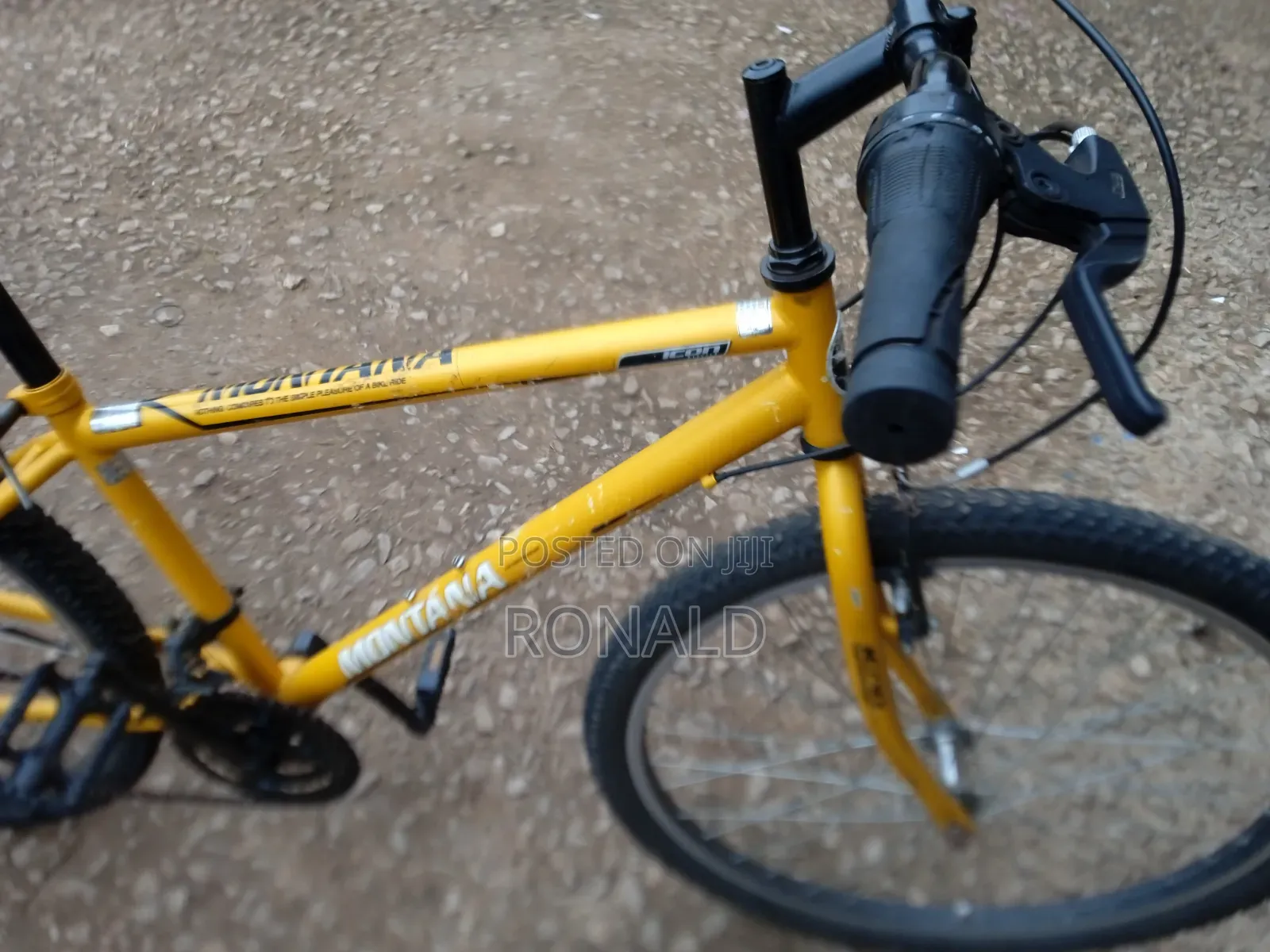 Bicycle for Adults Montana Brand Size 26