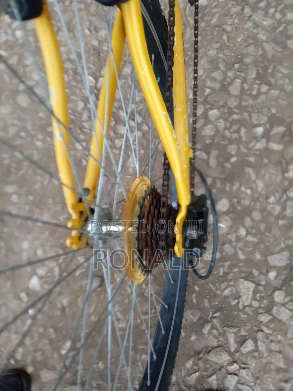 Bicycle for Adults Montana Brand Size 26